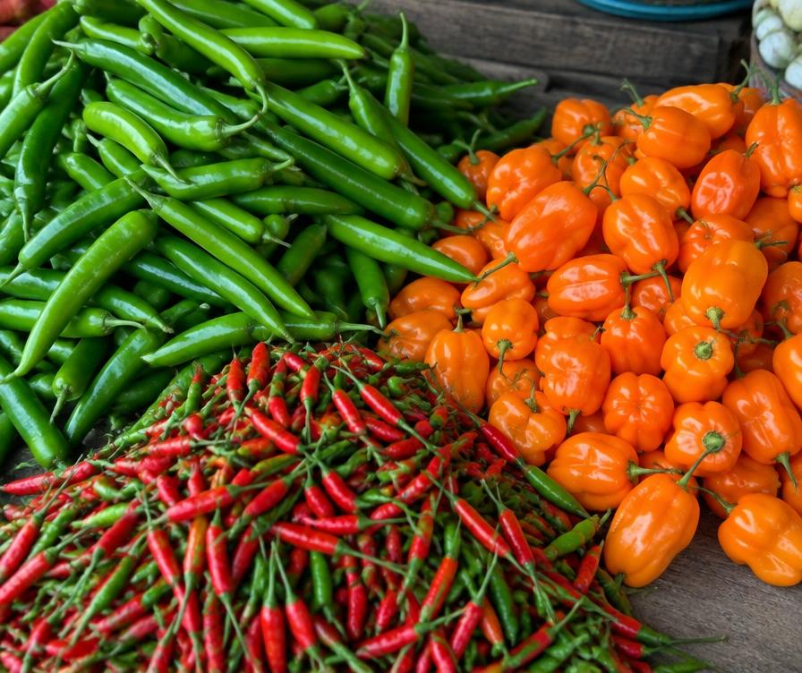 Green Chilli — representative vegetables image