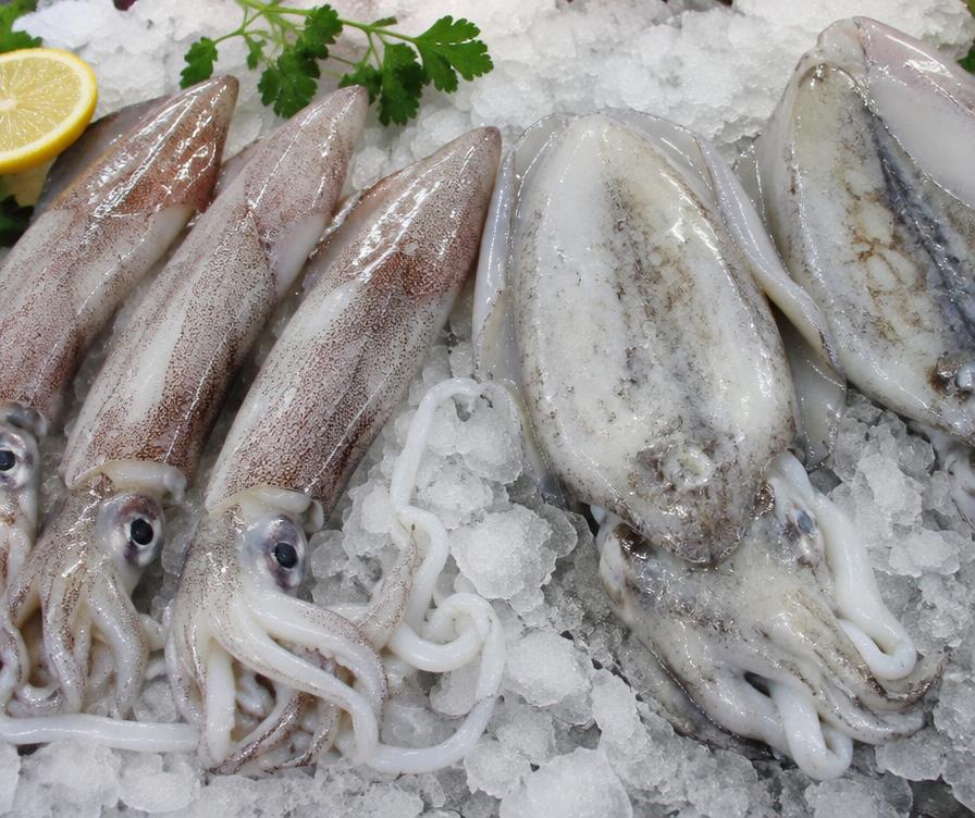 Mayya / Kalamari — representative seafood image