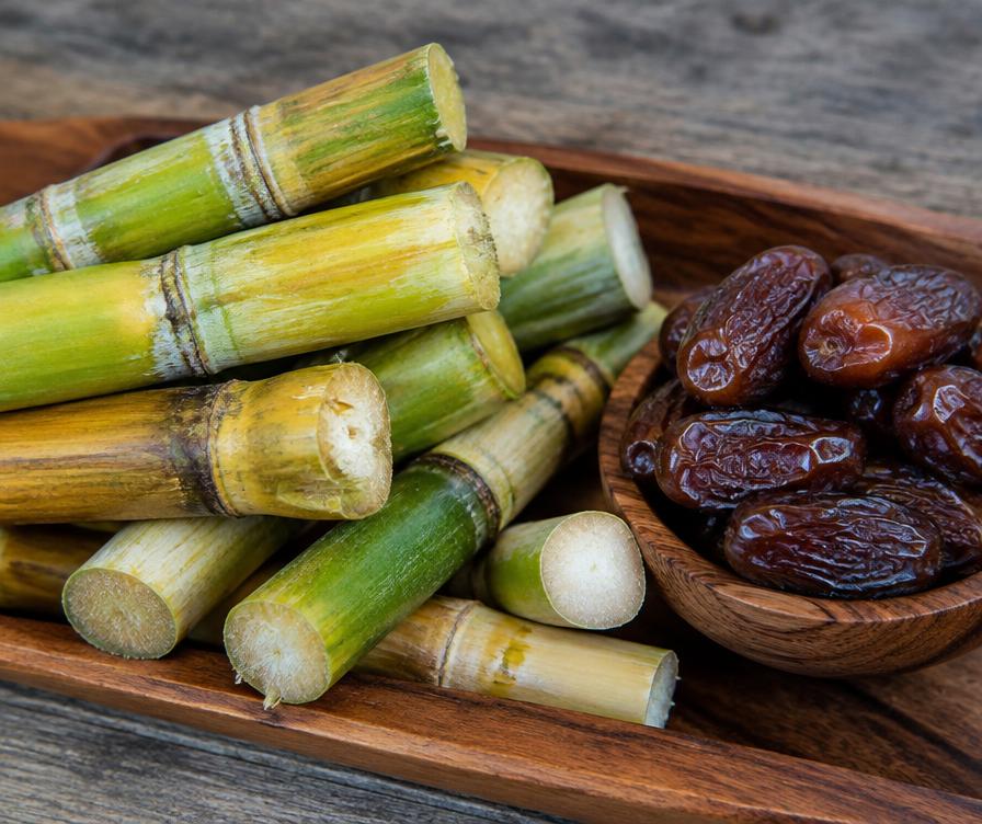 Sugarcane Pieces — representative fruits image